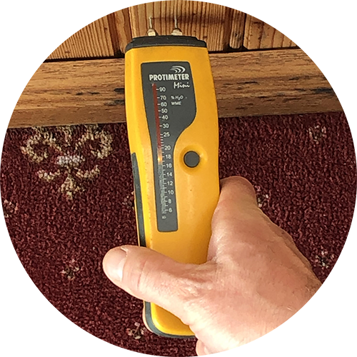 RICS Home Surveys - Moisture sensor