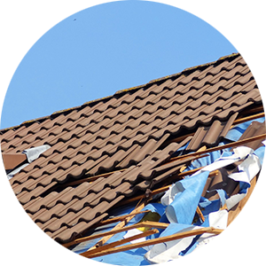 Specialist Surveys and Defect Reports